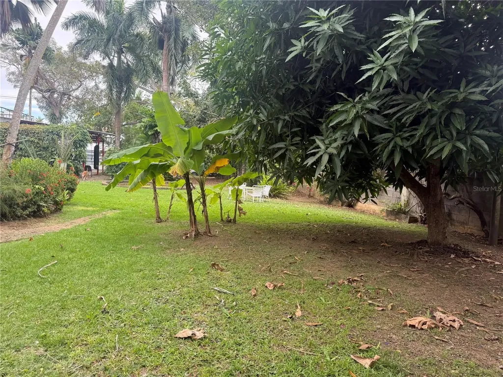 Calle Pedrosa, Garden Hills Guaynabo PR 00966
