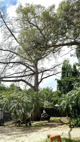 Calle Pedrosa, Garden Hills Guaynabo PR 00966