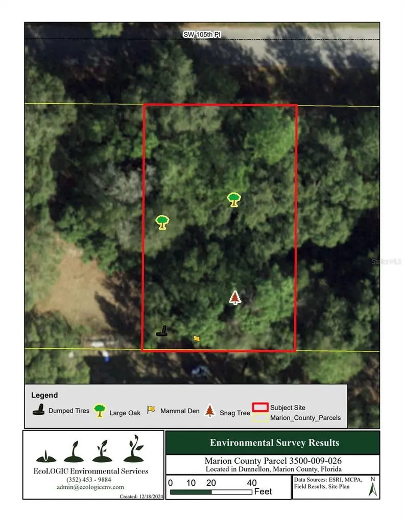 SW 105th Place Dunnellon FL 34432