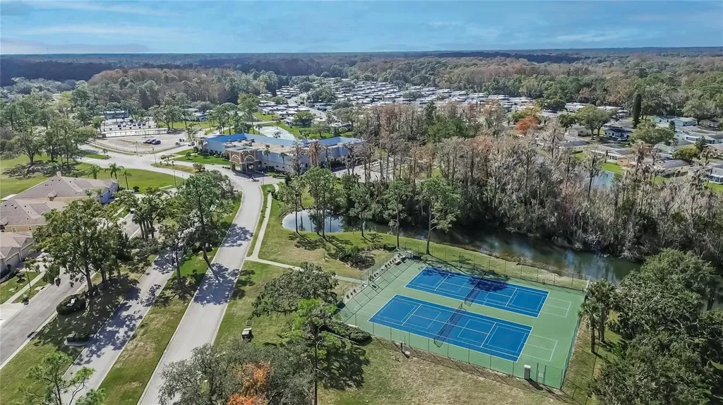 11254 Mollymawk Court New Port Richey FL 34654