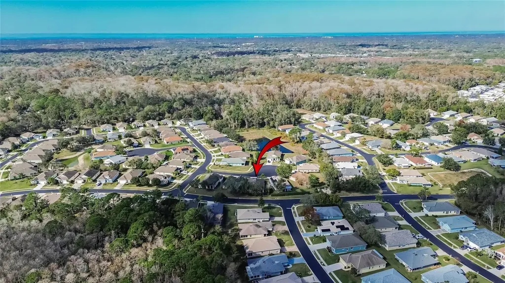 11254 Mollymawk Court New Port Richey FL 34654