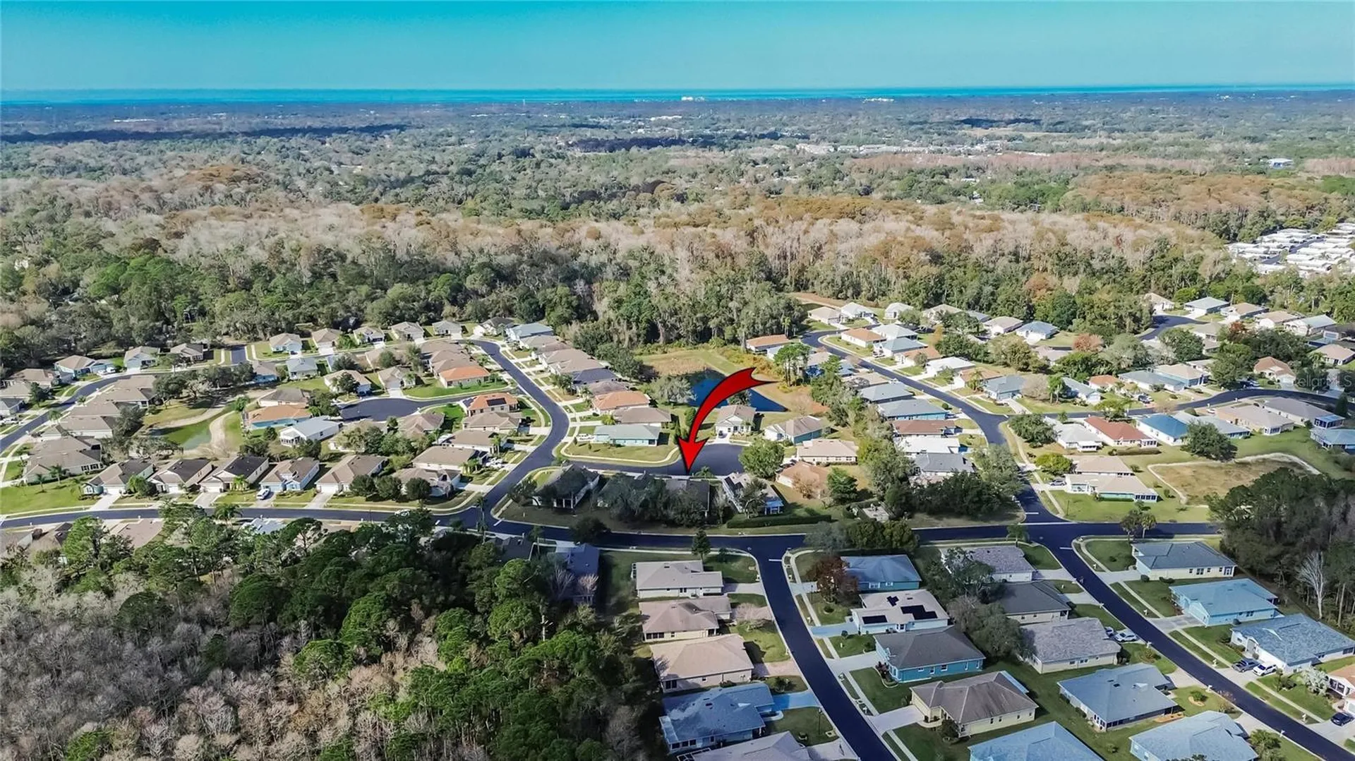 11254 Mollymawk Court New Port Richey FL 34654