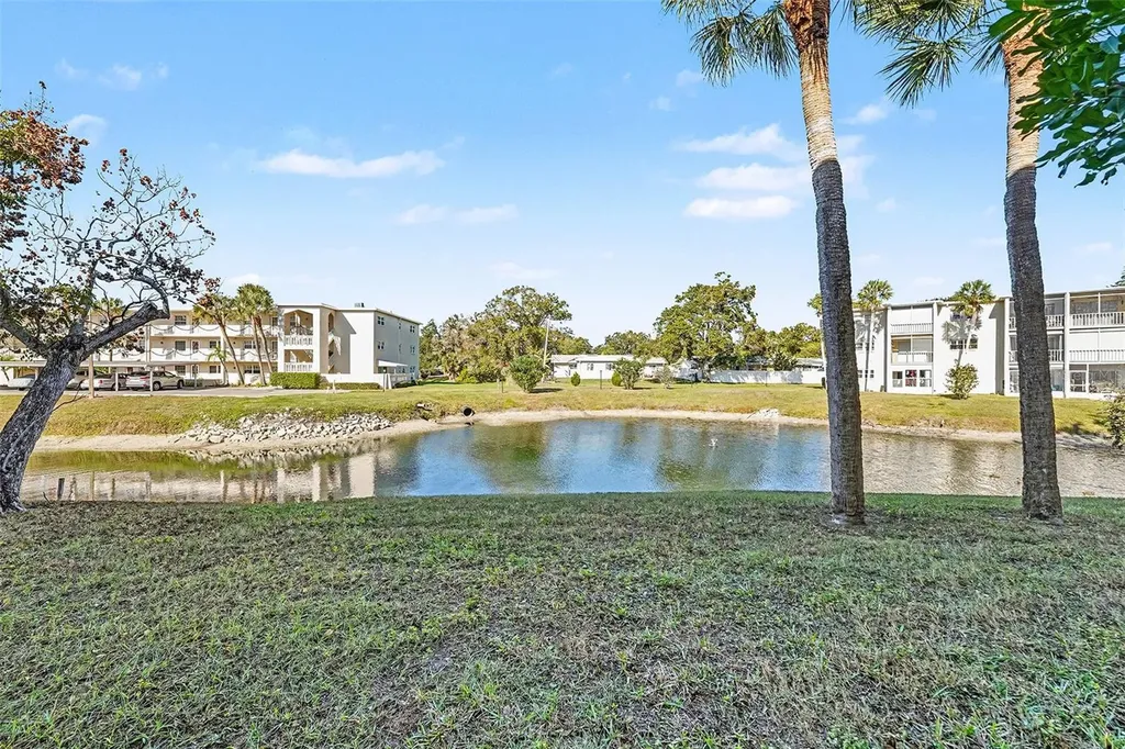 940 Virginia Street Dunedin FL 34698