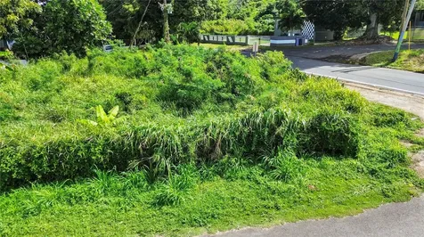 Ana Maria Street Puente Ward, Solar #1 Camuy PR 00627
