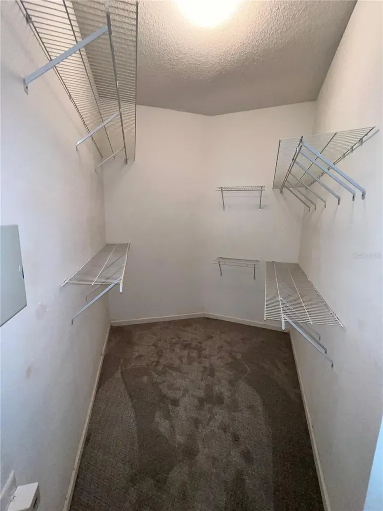 11418 Glenmont Drive Tampa FL 33635