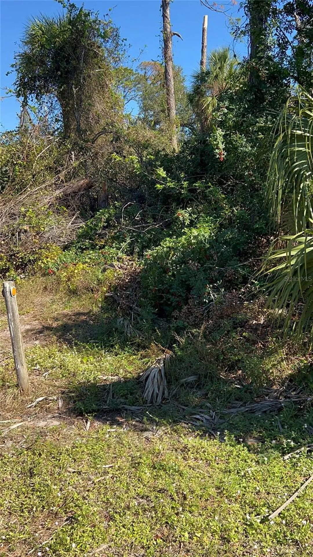 Easter Terrace North Port FL 34286