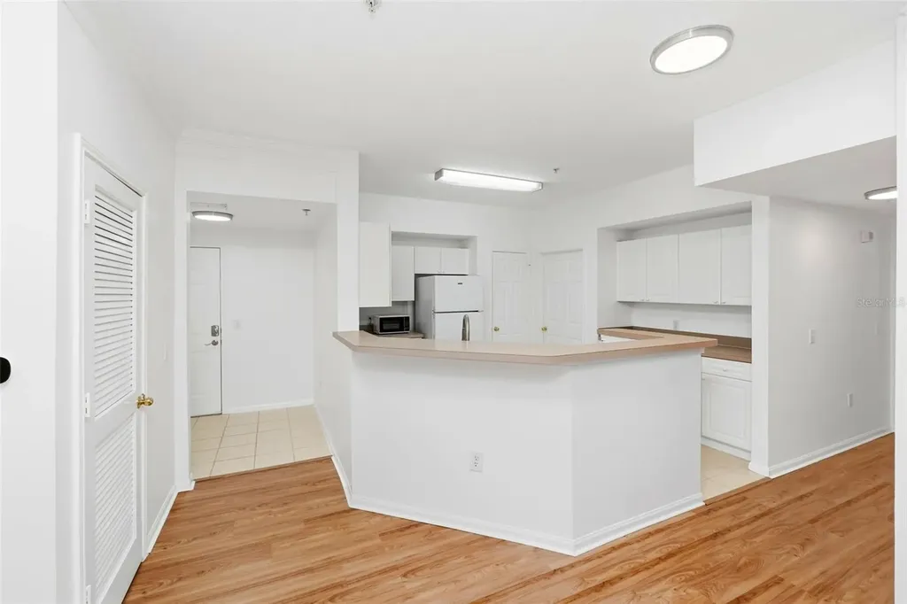 231 Goldenrain Drive Celebration FL 34747