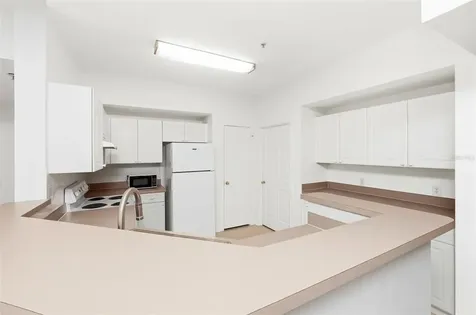 231 Goldenrain Drive Celebration FL 34747