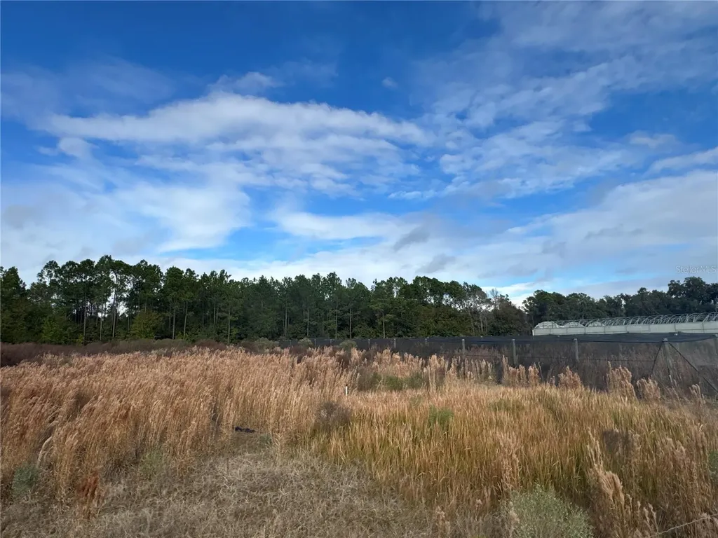 21665 SE 177th Avenue Hawthorne FL 32640