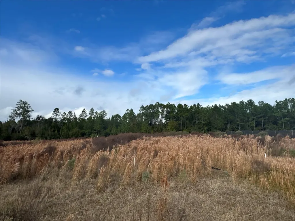 21665 SE 177th Avenue Hawthorne FL 32640