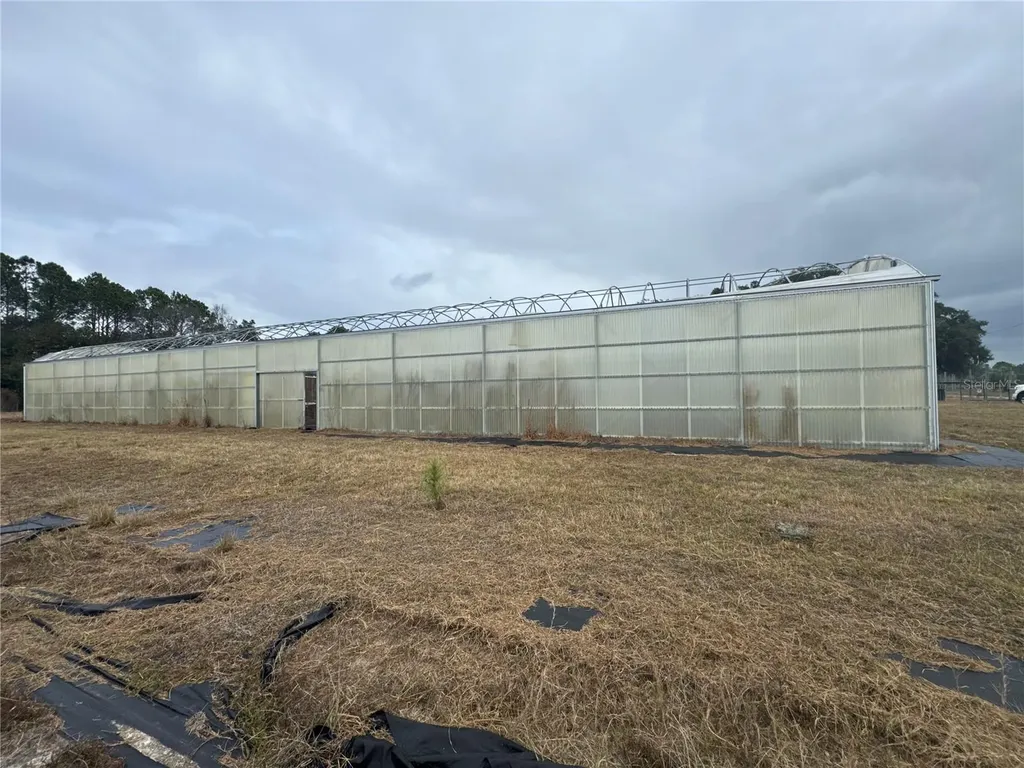 21665 SE 177th Avenue Hawthorne FL 32640