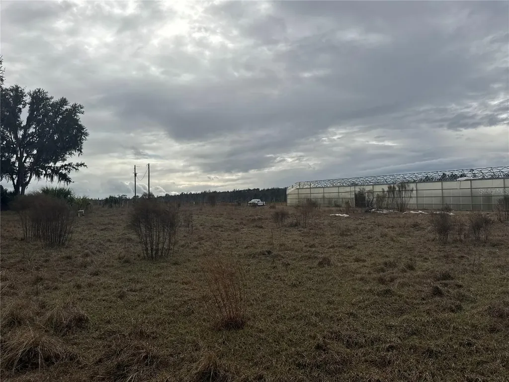 21665 SE 177th Avenue Hawthorne FL 32640