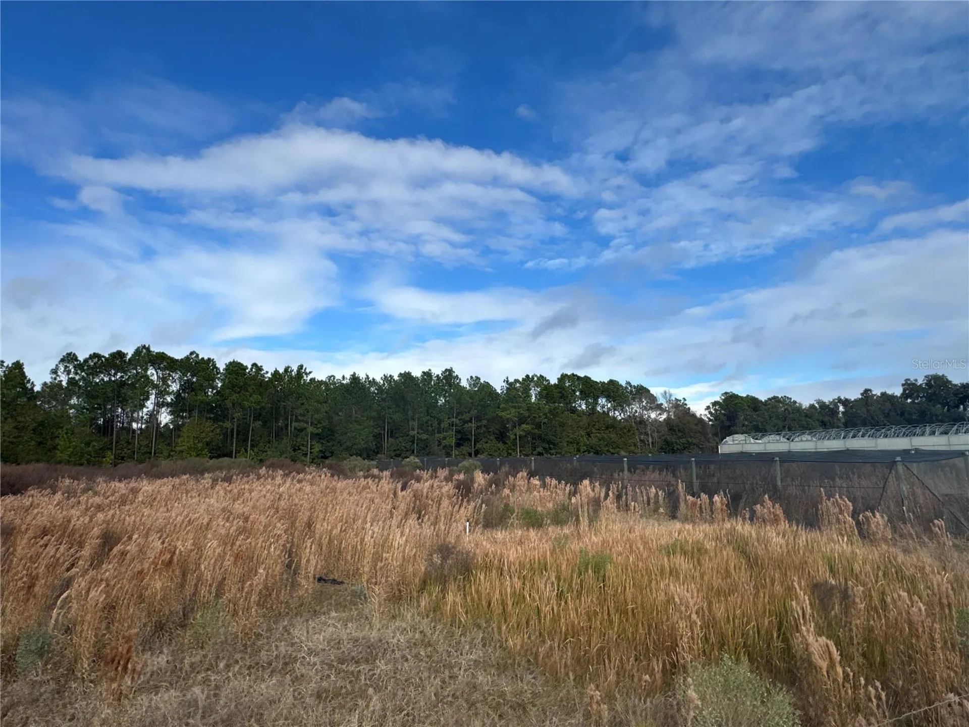 21665 SE 177th Avenue Hawthorne FL 32640