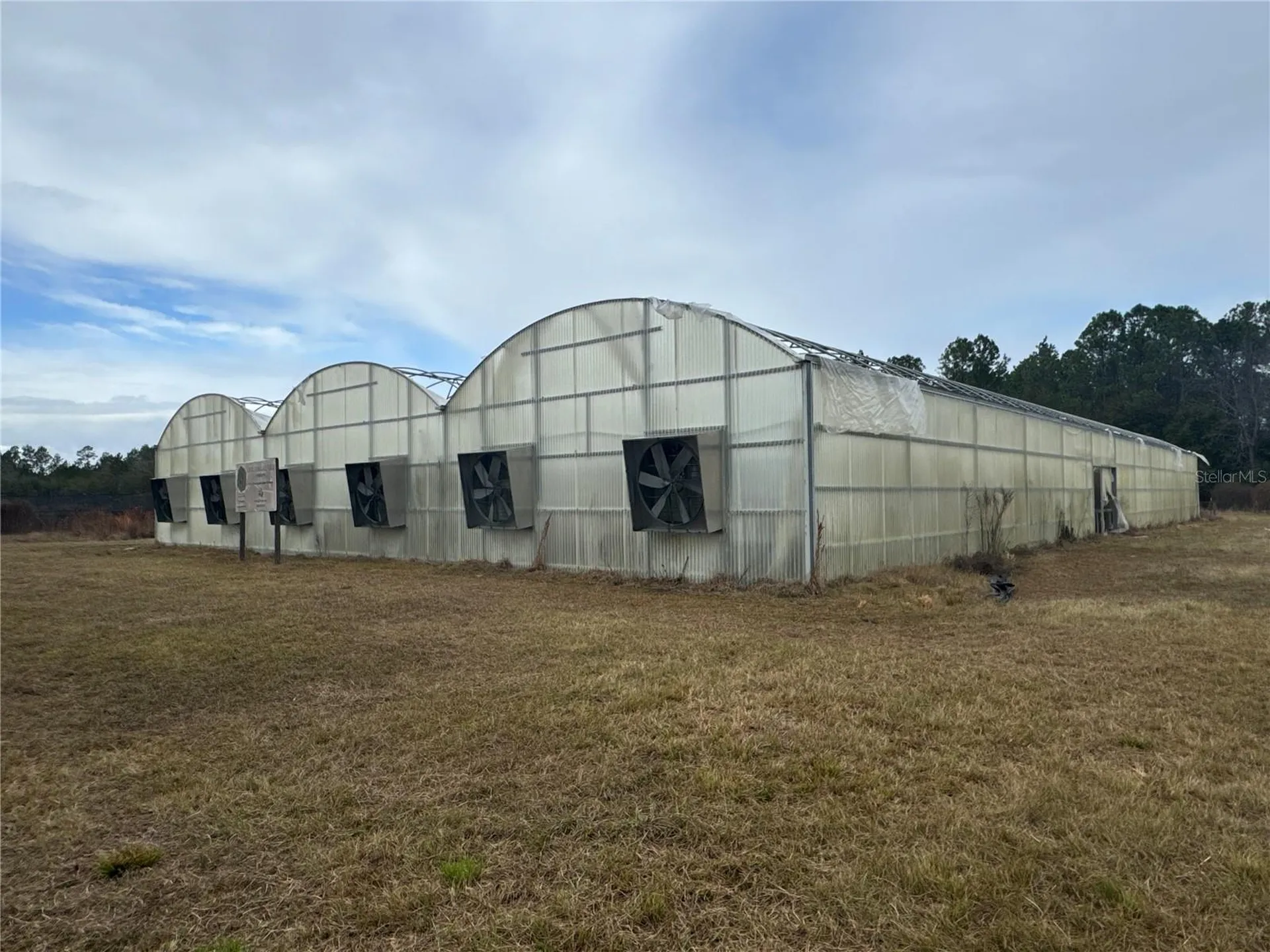 21665 SE 177th Avenue Hawthorne FL 32640