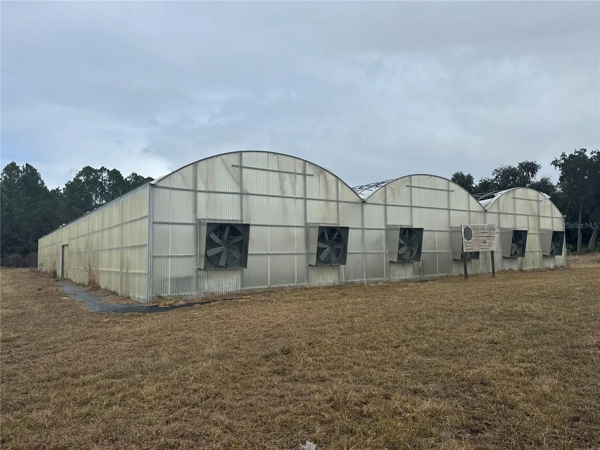 21665 SE 177th Avenue Hawthorne FL 32640
