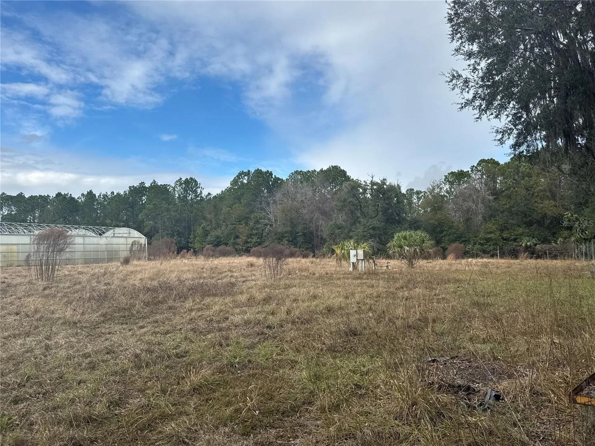 21665 SE 177th Avenue Hawthorne FL 32640