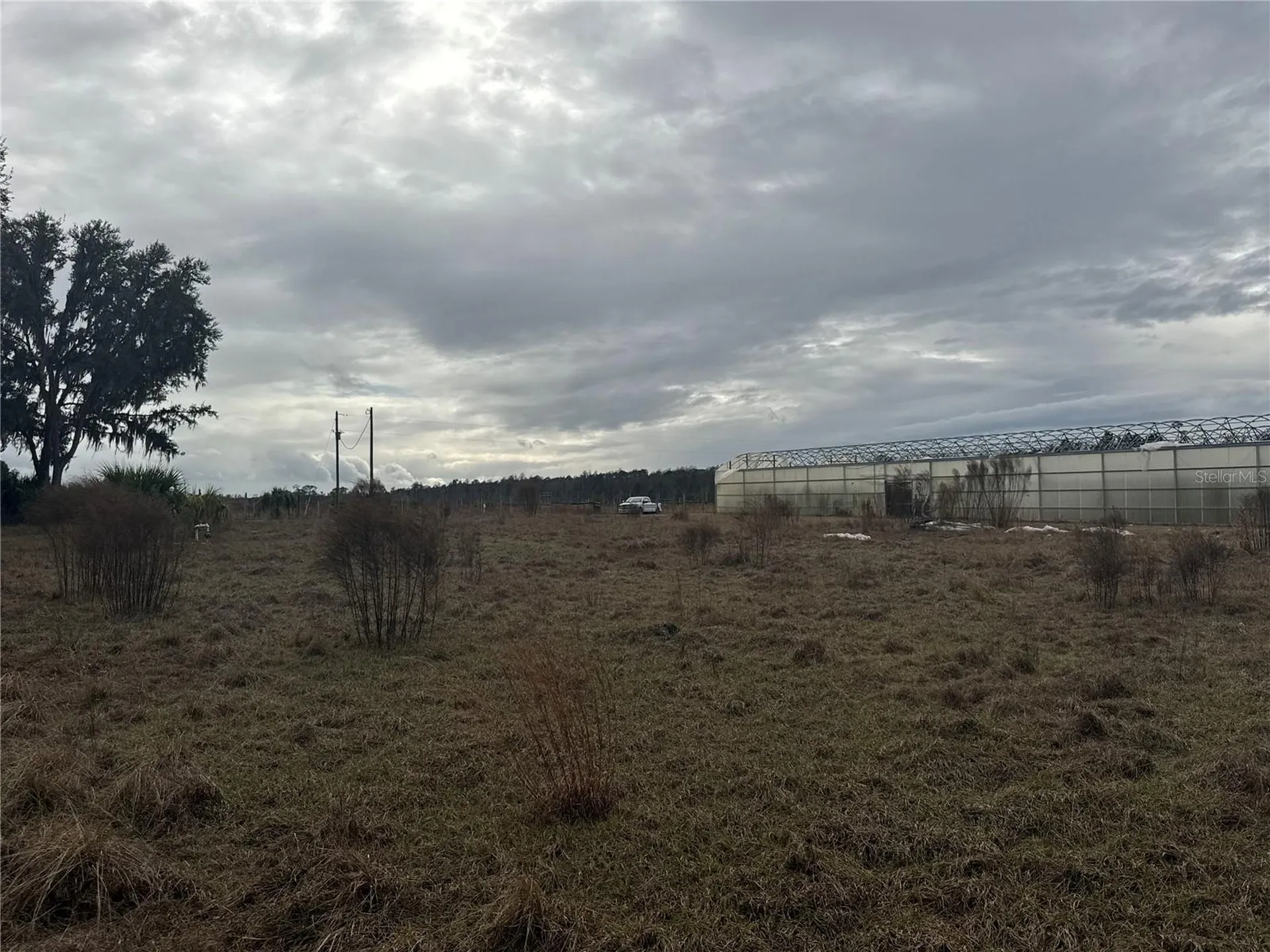 21665 SE 177th Avenue Hawthorne FL 32640