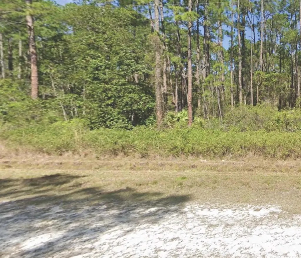 226 Terri Avenue Georgetown FL 32139