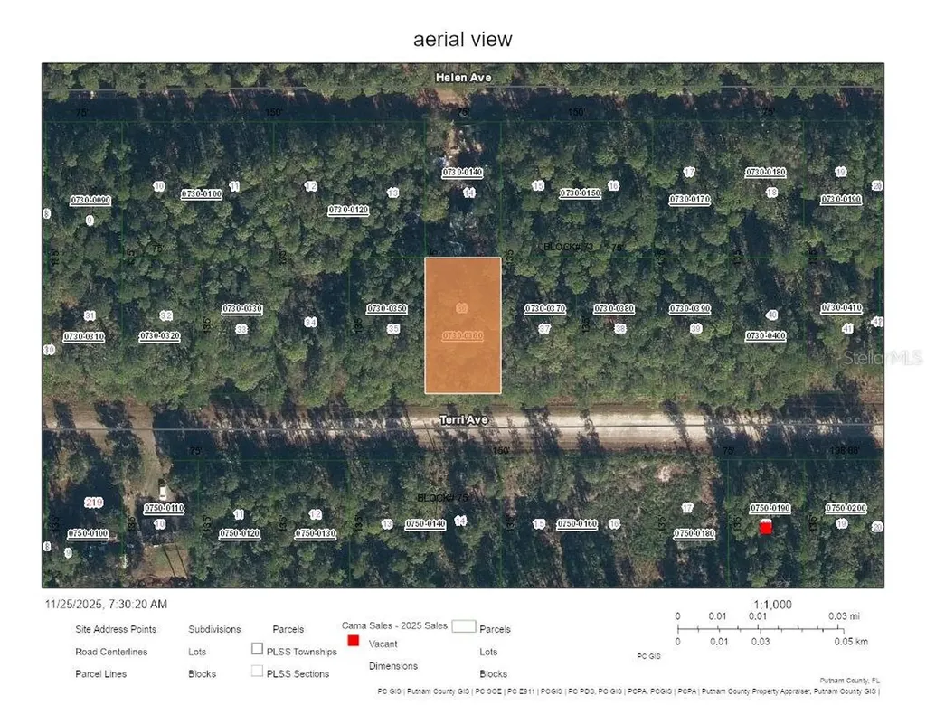 226 Terri Avenue Georgetown FL 32139