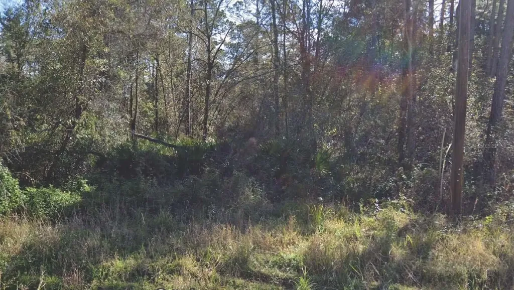 104 Donald R Boulevard Palatka FL 32177