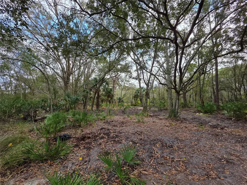0 State Road 60 E Lake Wales FL 33898