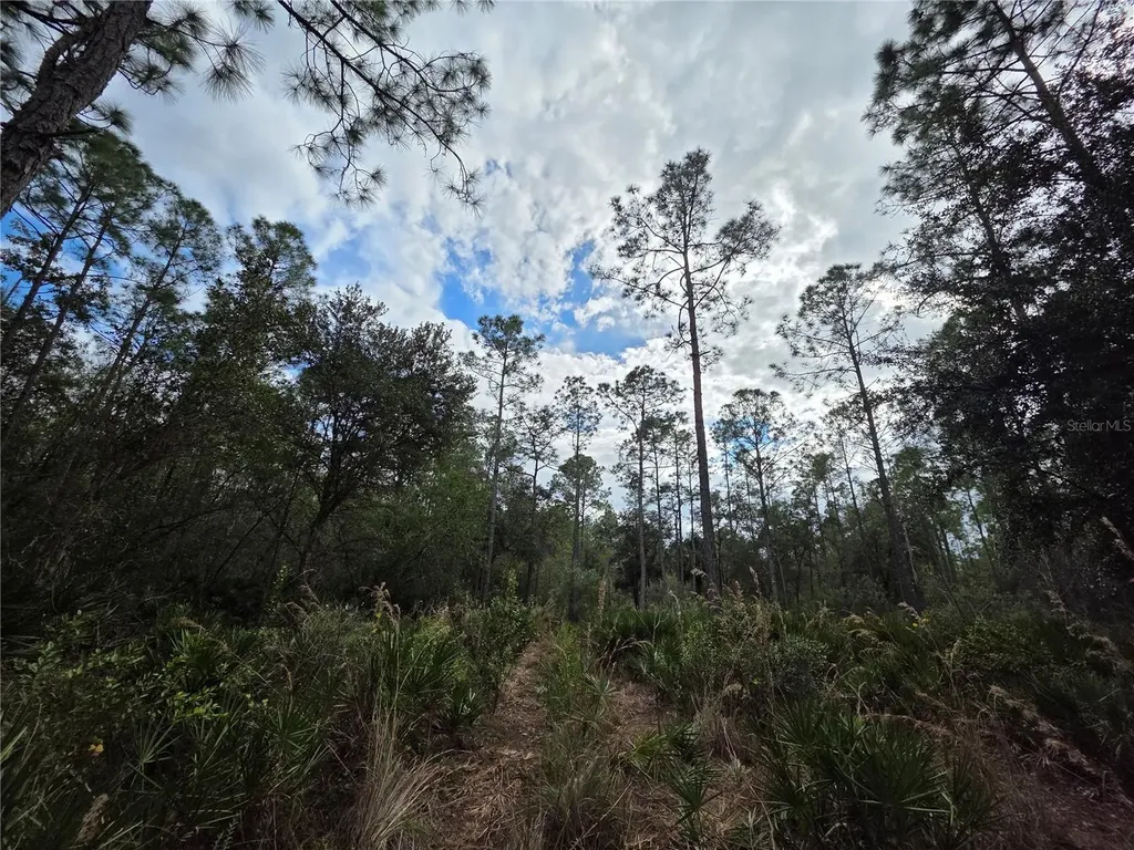 0 State Road 60 E Lake Wales FL 33898