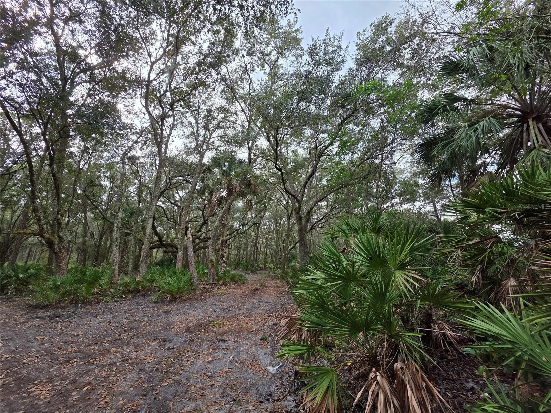 0 State Road 60 E Lake Wales FL 33898