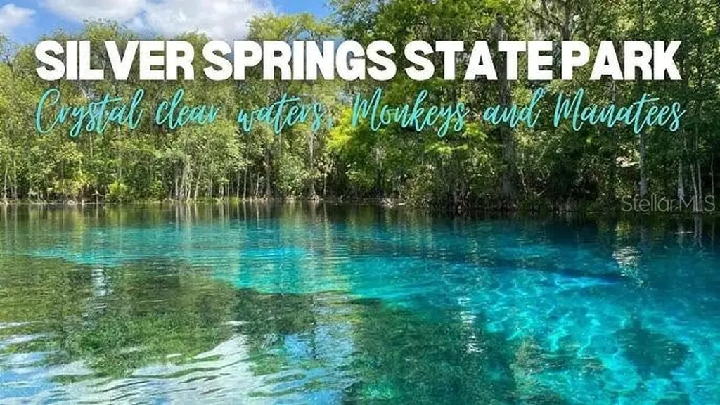 902 NE 130th Terrace Silver Springs FL 34488