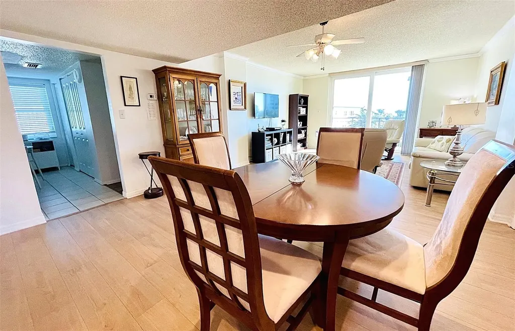 9 Haig Place Dunedin FL 34698