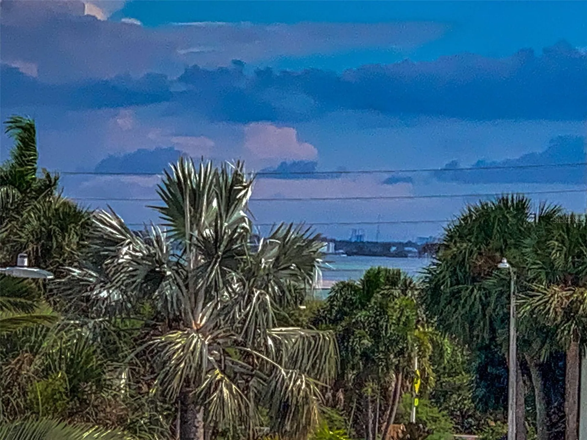 9 Haig Place Dunedin FL 34698