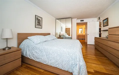 9 Haig Place Dunedin FL 34698