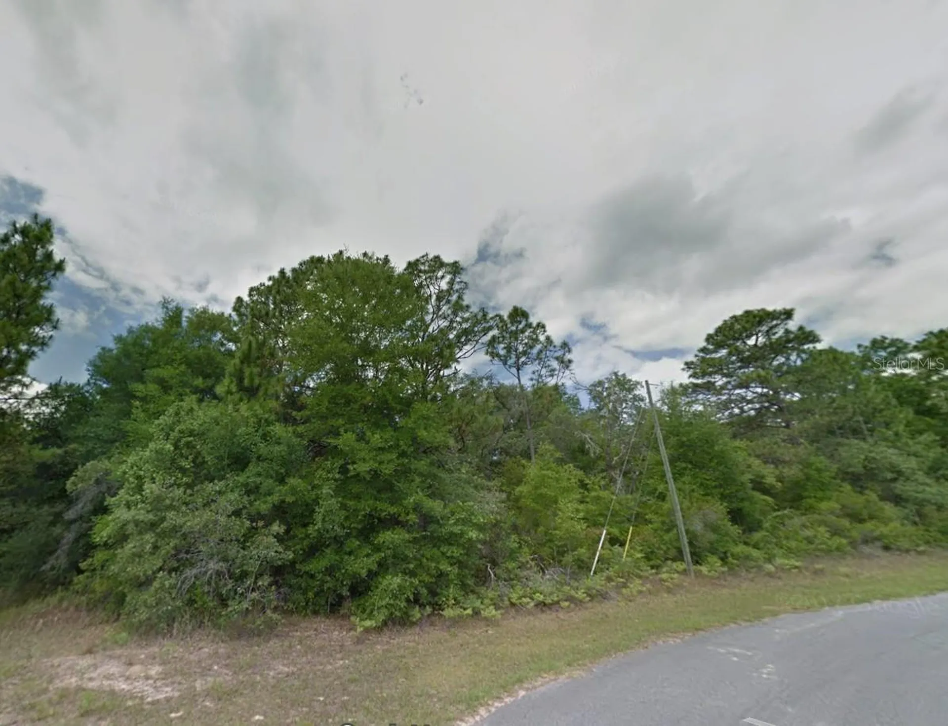 1784 W Lorraine Drive Citrus Springs FL 34434