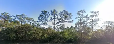 20106 E Colonial Drive Christmas FL 32709
