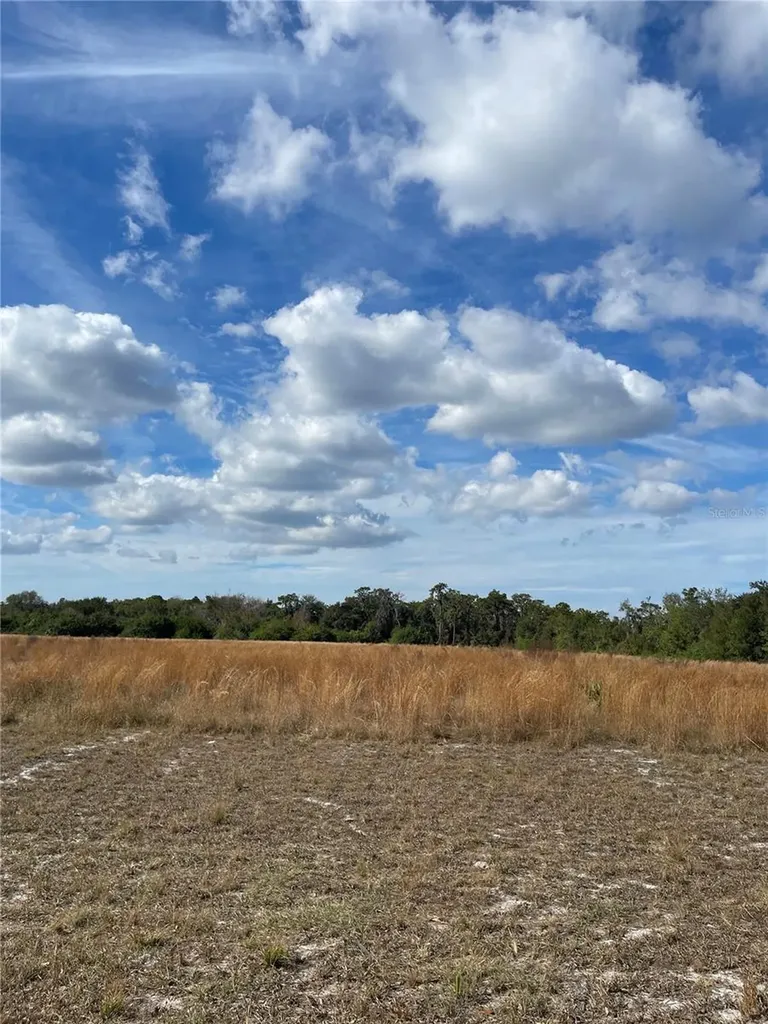 14421 Seminole Trail Wimauma FL 33598