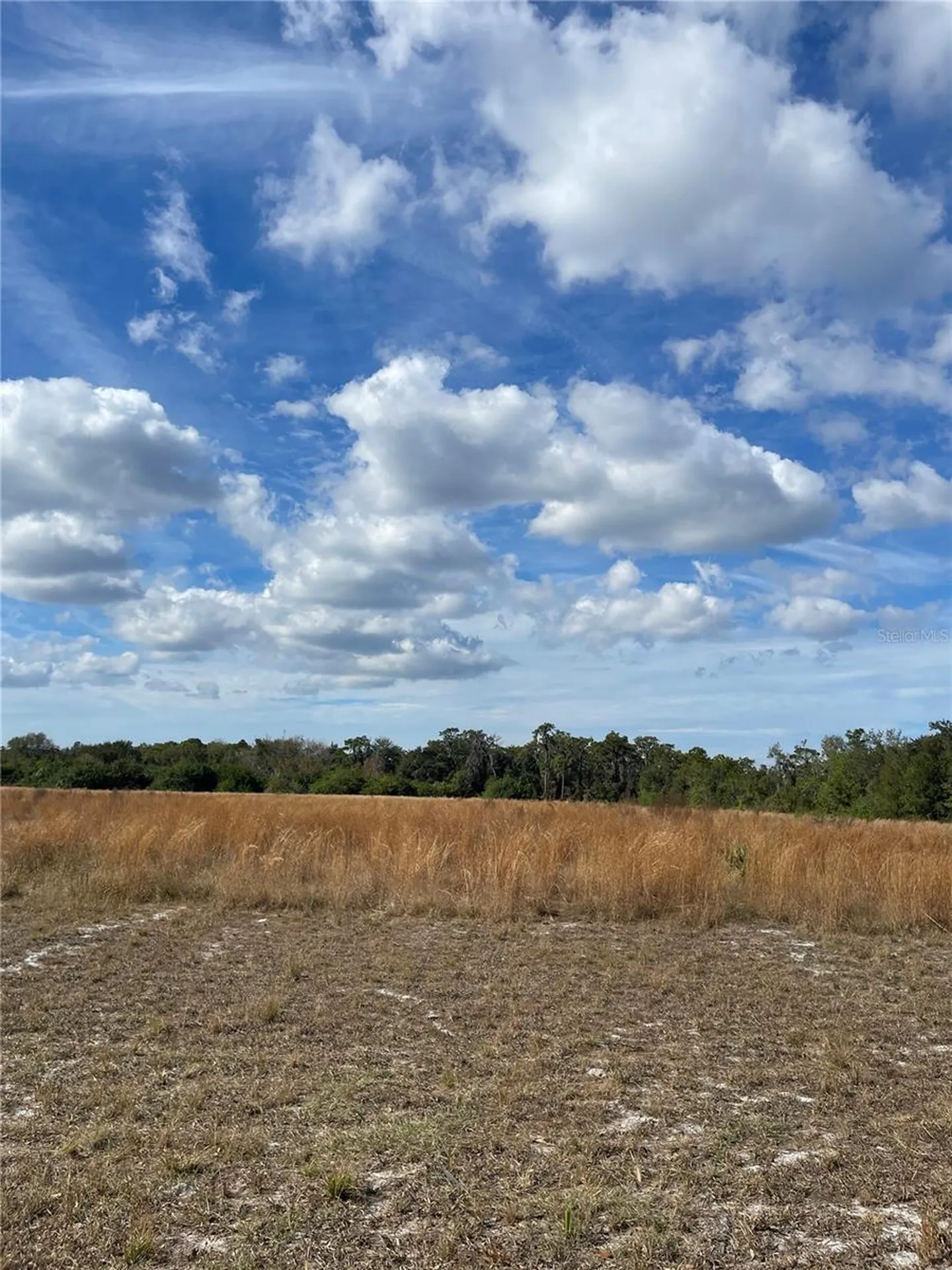 14421 Seminole Trail Wimauma FL 33598