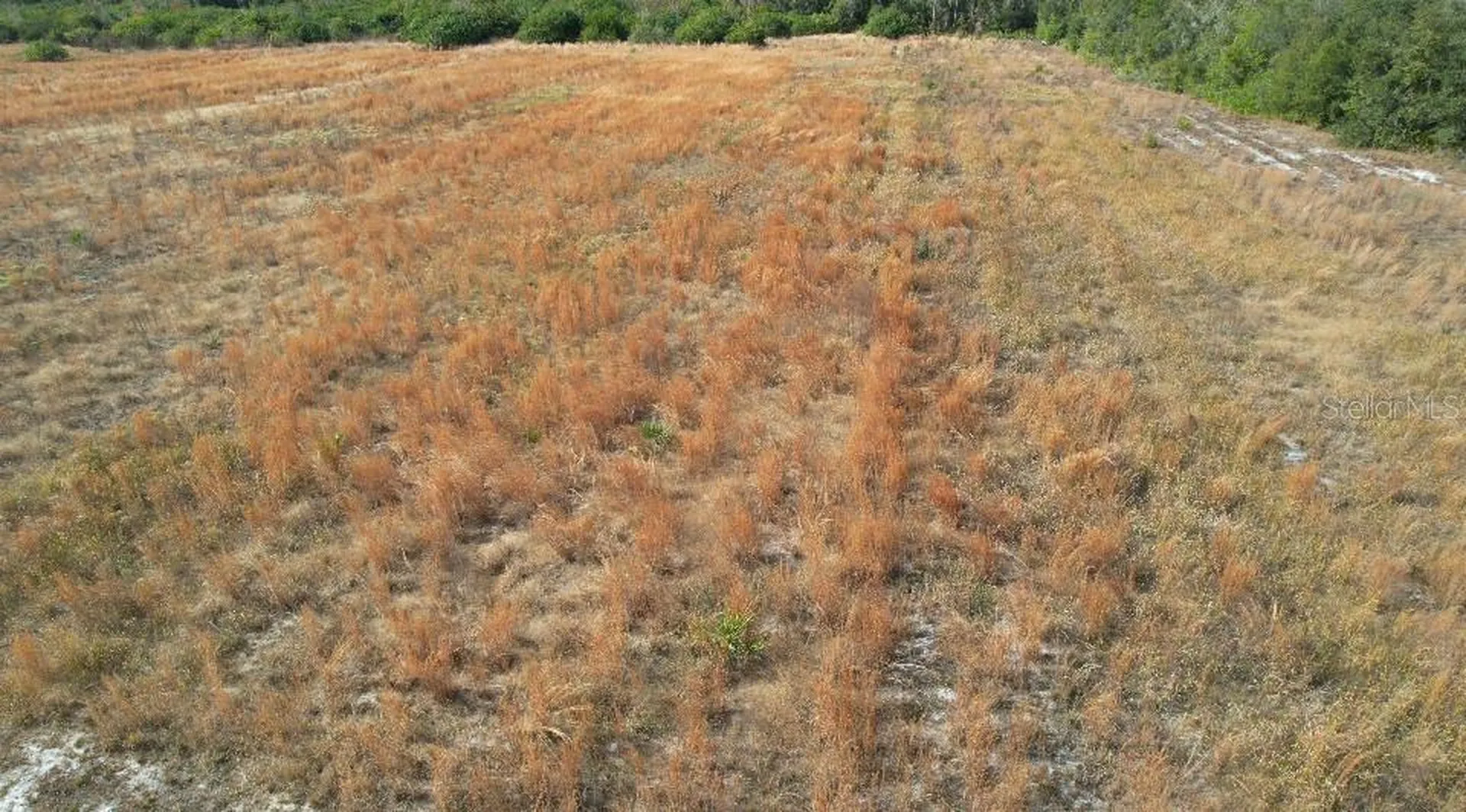 14421 Seminole Trail Wimauma FL 33598