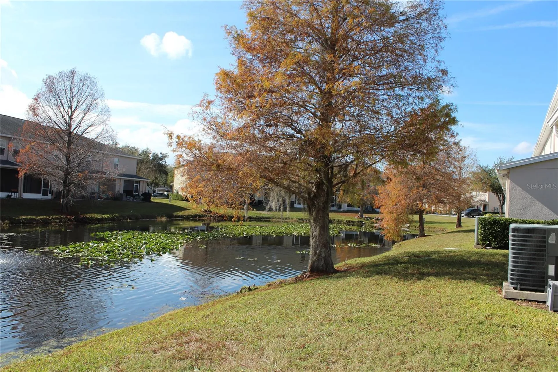 16320 Swan View Circle Odessa FL 33556