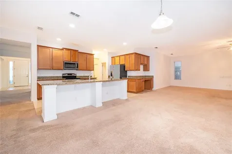 891 Cavan Drive Apopka FL 32703