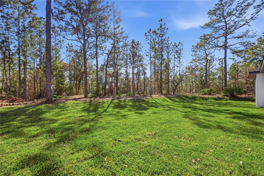 1349 Cr 243 A Wildwood FL 34785