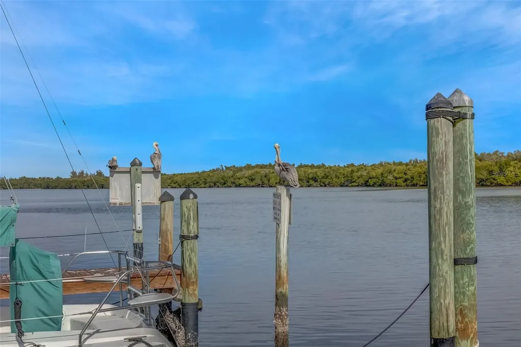 803 Bahia Del Sol Drive Ruskin FL 33570