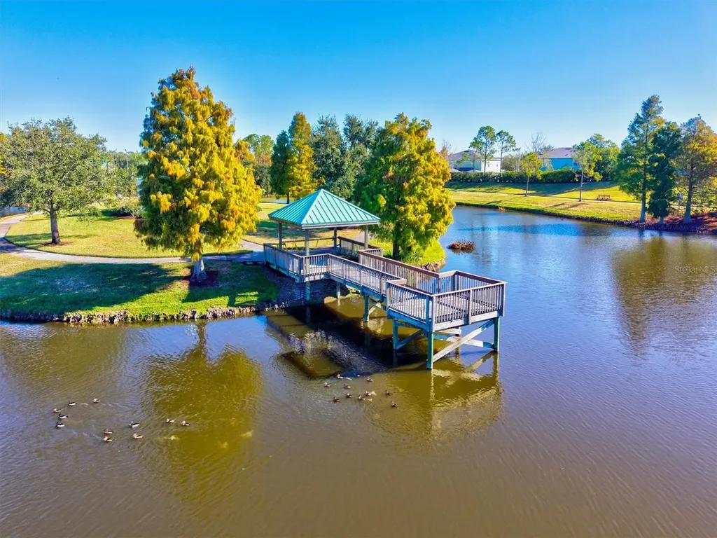 5213 Moon Shell Drive Apollo Beach FL 33572