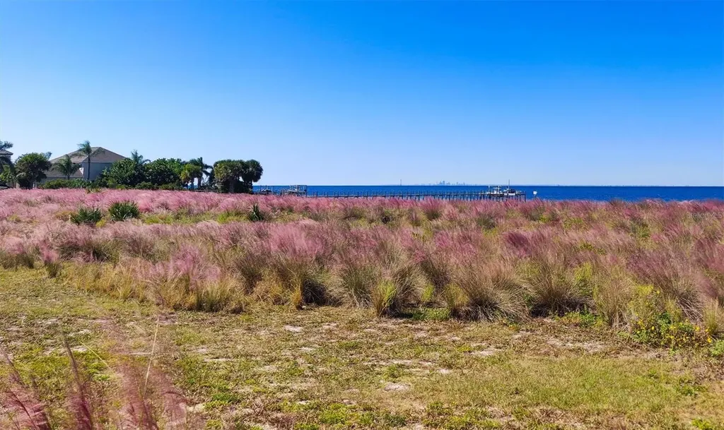 5213 Moon Shell Drive Apollo Beach FL 33572