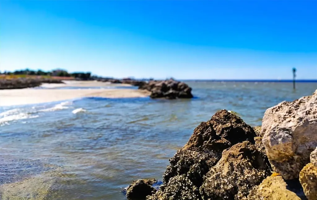 5213 Moon Shell Drive Apollo Beach FL 33572