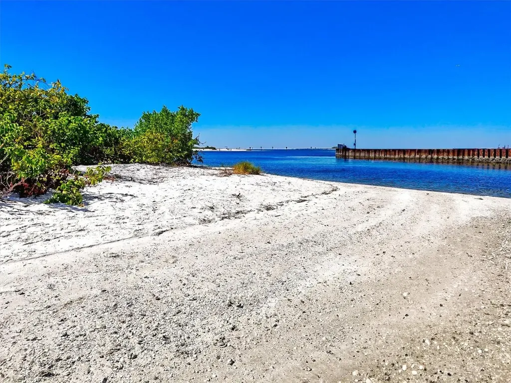 5213 Moon Shell Drive Apollo Beach FL 33572