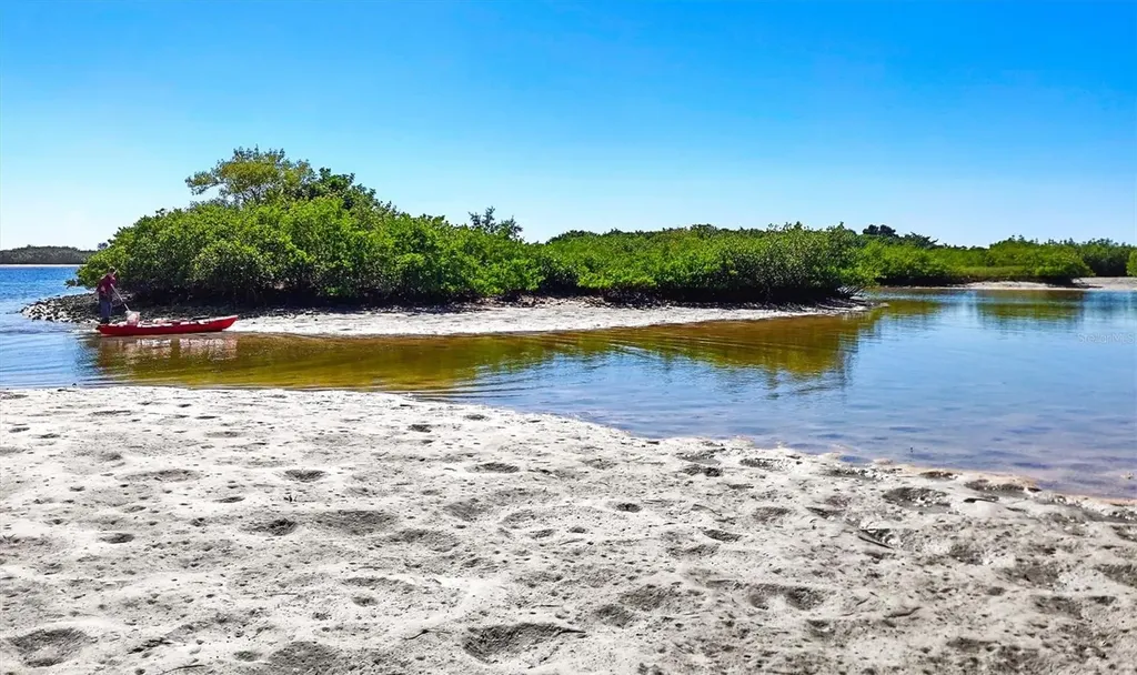 5213 Moon Shell Drive Apollo Beach FL 33572