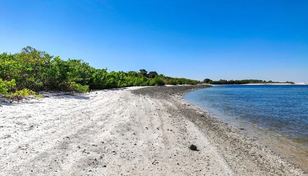 5213 Moon Shell Drive Apollo Beach FL 33572