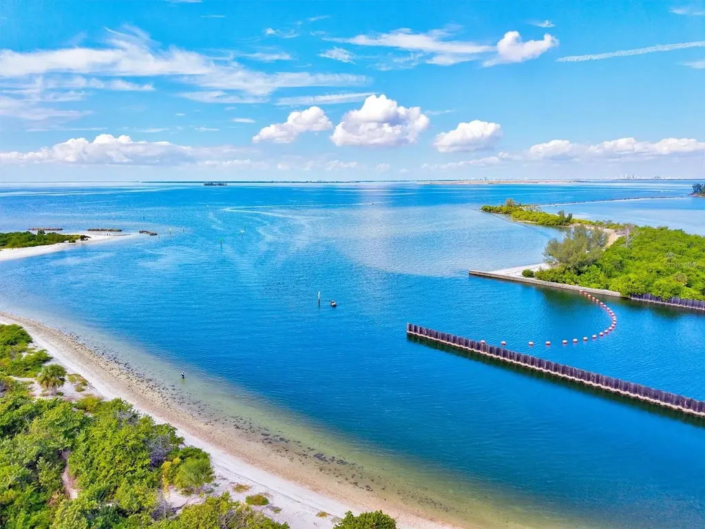 5213 Moon Shell Drive Apollo Beach FL 33572