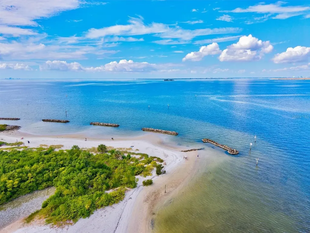 5213 Moon Shell Drive Apollo Beach FL 33572