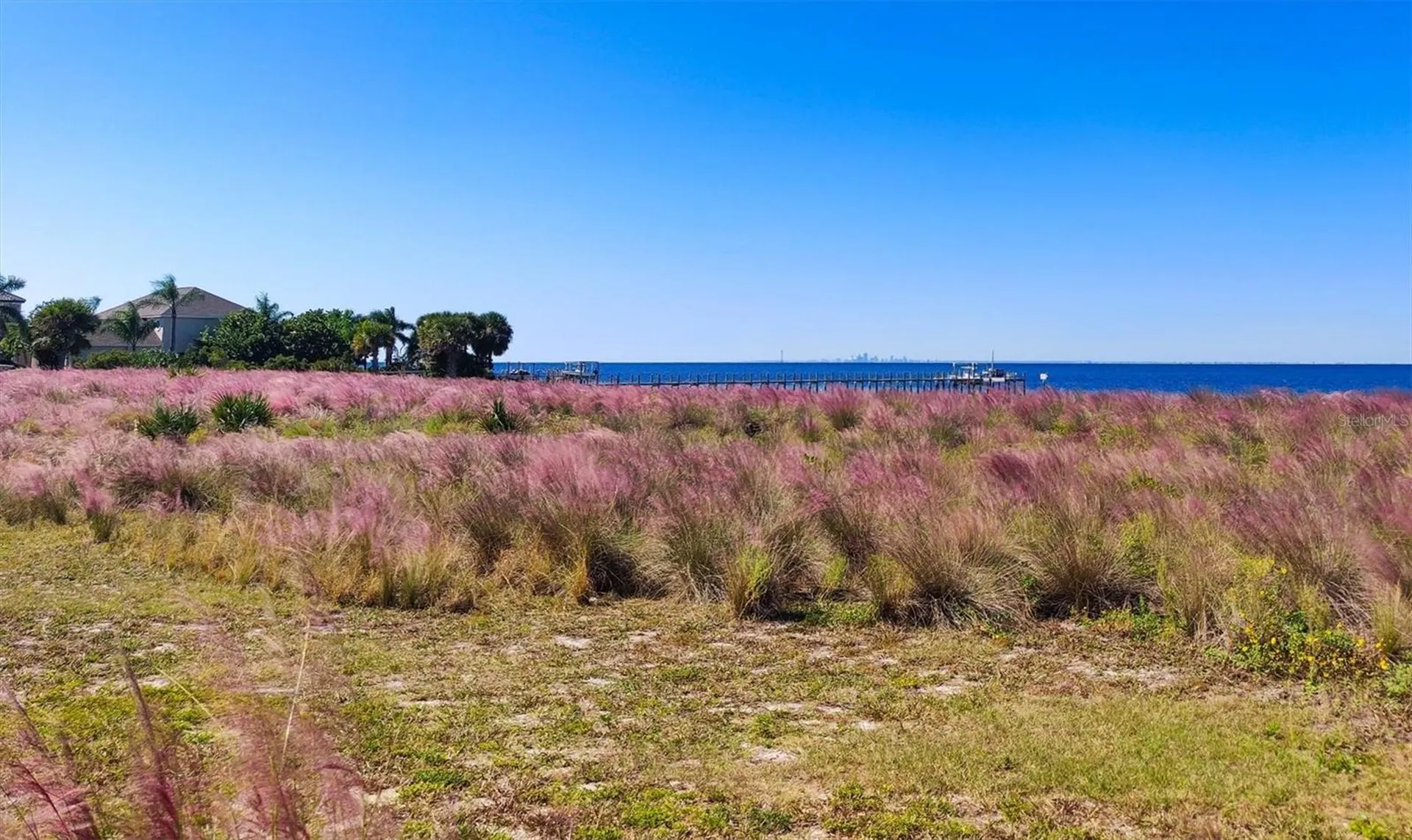 5213 Moon Shell Drive Apollo Beach FL 33572