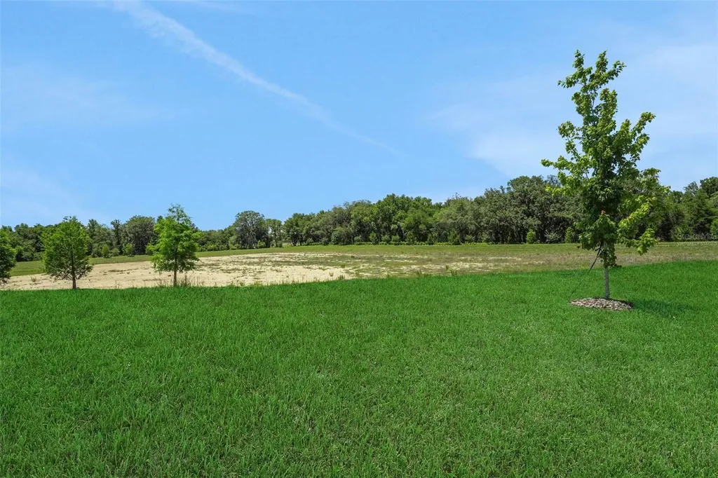 752 Sunshower Drive Lady Lake FL 32159